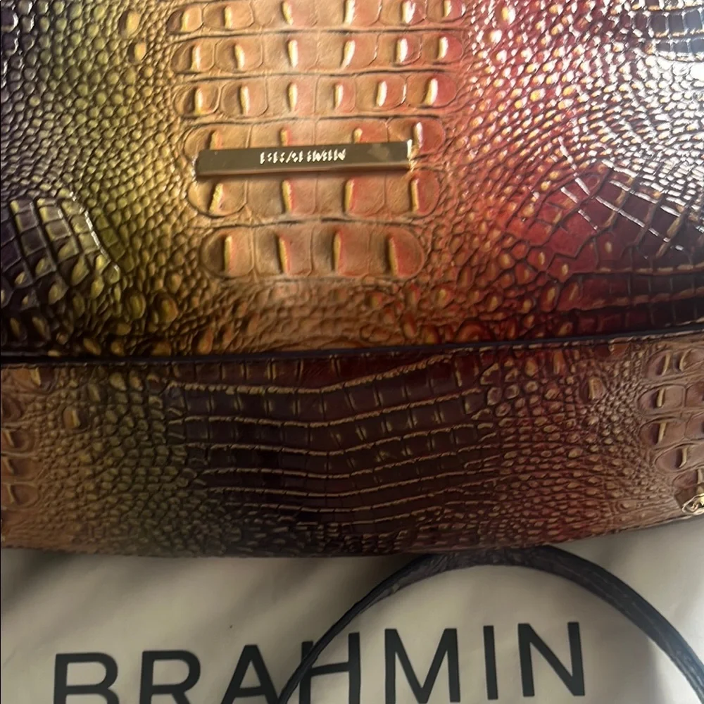 Brahmin Autumn Ombre Mini Melbourne - Picture 2 of 13